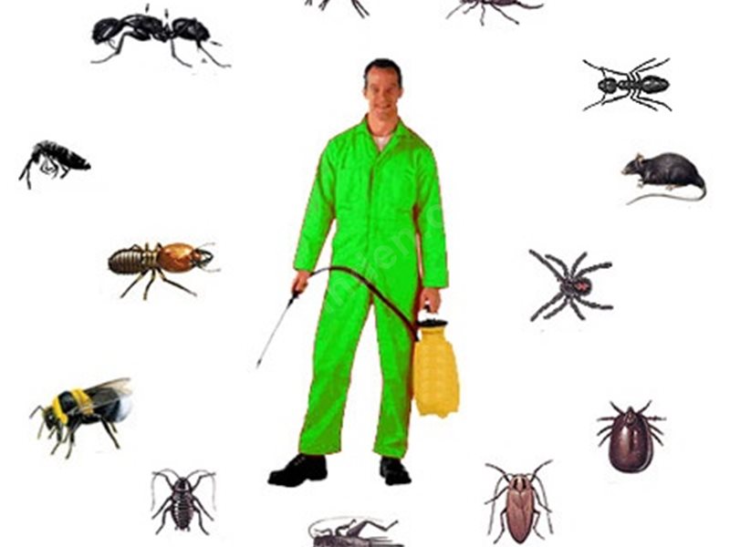 Savur Böcek İlaçlama