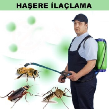 Savur Böcek İlaçlama